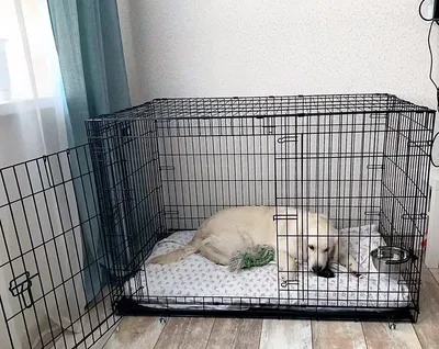 Деревянная клетка для собак Ferplast DOG FORT (87040311) купить