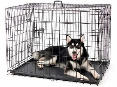 Savic Dog Residence №3 клетка для собак 76х53х61 см