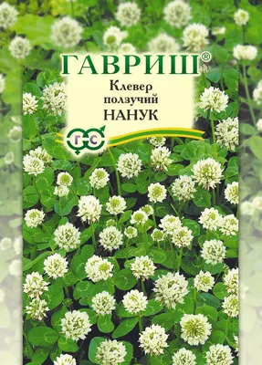 Персонарум Клевер белый ползучий - купить по выгодным ценам в  интернет-магазине OZON (1036643999)