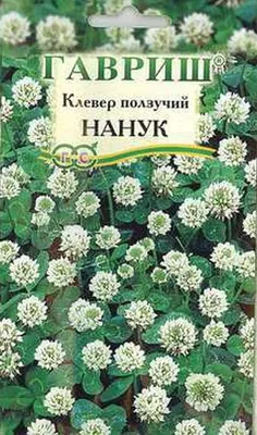 Комсомольские луга Клевер белый семена 500г