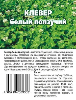 Клевер белый микро Ривендел 100% фирменный пакет 1кг газон лилипут семена  цена. См. описание (ID#704929108), цена: 450 ₴, купить на Prom.ua