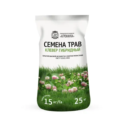 Стихотворение «Клевер Пашенный... (Хокку)...», поэт Ежэн Ангелина