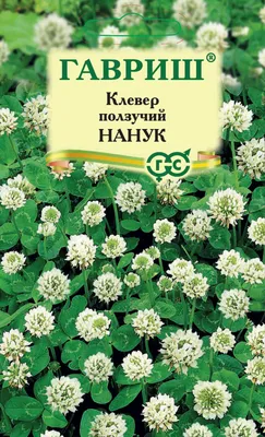 Семена - Клевер луговой (красный) купить оптом - Житница-Агро