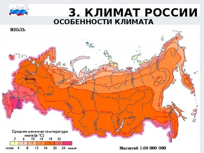 Климат России: типы, факторы, температурная карта и особенности  распределения | Поход лайфхак | Дзен