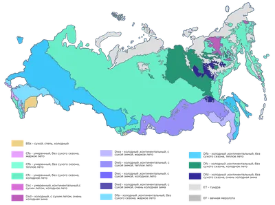 Основные климатические пояса России