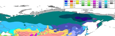 Климат России и мира