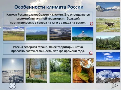 Климат России: разнообразие и влияние на человека» — создано в Шедевруме