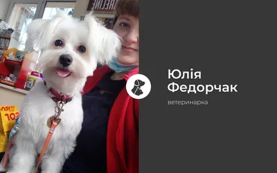 Демодекоз у собак – причини, види, діагностика, лікування та профілактика  демодекозу