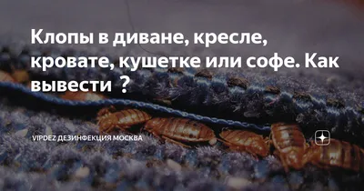 Как вывести клопов из мебели, диванов, кроветей, матрасов? -  Санэпидемстанция Дезцентр-Русь