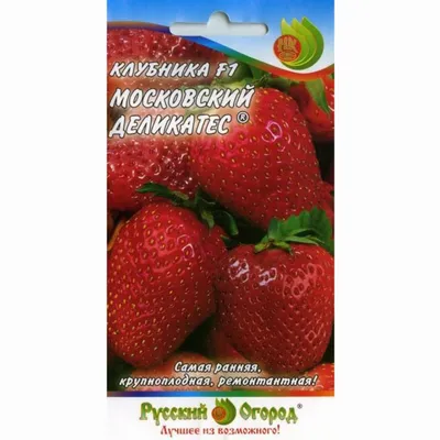 Купить Клубника «Московский деликатес». Саженцы в Москве и области по  низкой цене