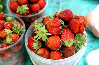 Какую клубнику лучше купить для еды: откуда самая вкусная ягода - 29 мая  2022 - НГС.ру