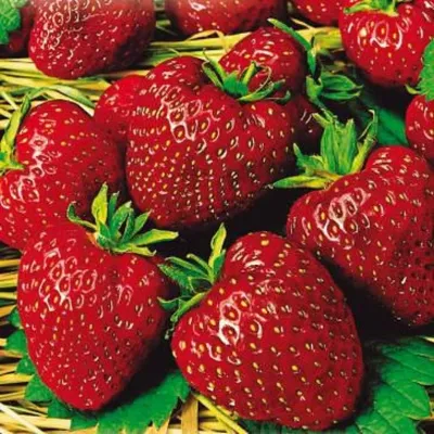Клубника Рубиновый кулон | 13g