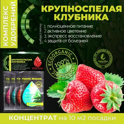 Клубника Диамант ремонтантная (5 Шт) | Купить саженцы в питомнике Мир  Садовод, Крым