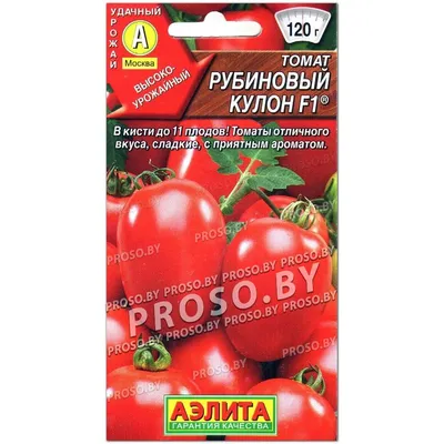 Клубника витязь (37 фото) - 37 фото