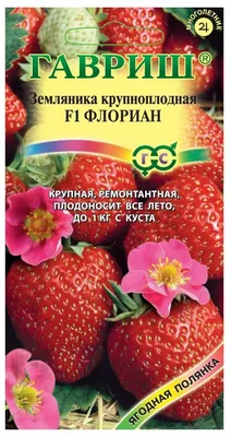 Земляника ремонтантная Холидей 0,03 гр. купить оптом в Томске по цене 15,48  руб.