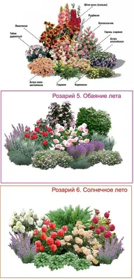 Композиция Клумба» с розами, лизиантусами и хризантемами - купить в  Ульяновске за 4 350 руб