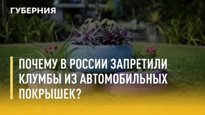 Клумбы из покрышек своими руками - делаем шедевр из старого колеса