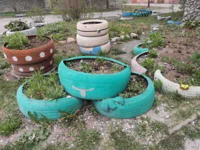 Ядовитая красота: чем опасны клумбы из покрышек (ФОТО) — Новости Хабаровска