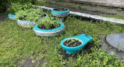 Клумбы из шин уходят в прошлое. Им на смену приходят... Кхм, другие  предметы быта | Новости | СеровГлобус.ру