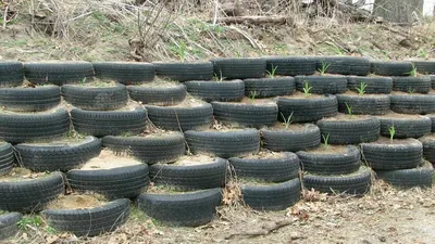 Клумбы из покрышек украшают автосервис в Керчи - Лента новостей Крыма