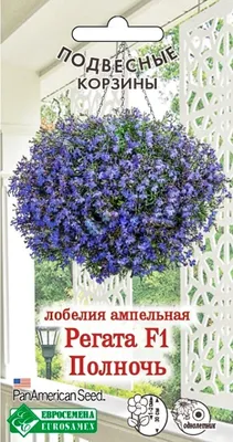 Искусственные цветы НЕЖНАЯ ЛОБЕЛИЯ в горшке, белые, 28 см, Kaemingk -  купить в ИП Зайцев, цена на Мегамаркет