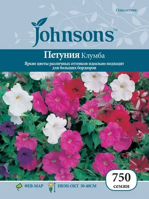 Ампельная петуния,много цветов, в …» — создано в Шедевруме