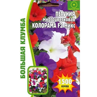 Петуния мини Пикобелла F1 кармин (семена,цветы) купить по цене 69.3 ₽ в  интернет-магазине KazanExpress