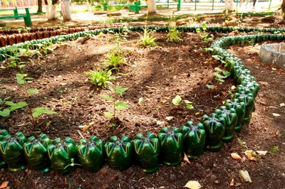 Что Сделать из Пластиковых Бутылок Своими Руками (+185 Фото) | Контейнерное  садоводство, Клумбы, Садовые бордюры