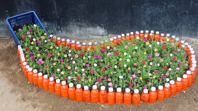 How to Recycle Plastic bottles into Unique Spilled Flower Pot - YouTube