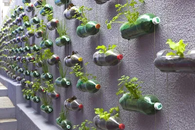 Как оформить клумбу из пластиковых бутылок? | Школа садовода | Дзен