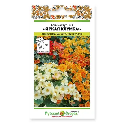 Когда сажать настурцию в 2024 году на рассаду и в открытый грунт:  благоприятные дни посадки по лунному календарю