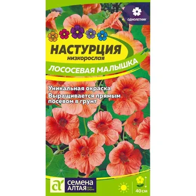 Семена цветов Настурция большая смесь 0,5 г (5464135) - Купить по цене от  11.80 руб. | Интернет магазин SIMA-LAND.RU