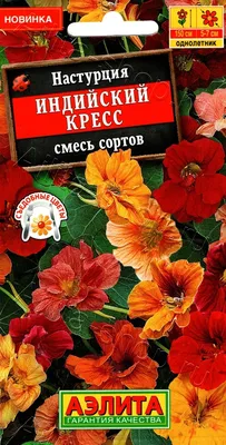 желтые цветы настурция в саду. цветочное растение тропаэолум Стоковое  Изображение - изображение насчитывающей ботаническую, макрос: 227588659