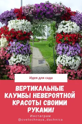 Петуния Тайдал Вейв Черри - Сад цветов - Магазин рассады цветов в Барнауле