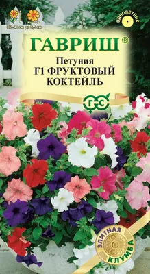 Петунии, сурфинии и летние цветы | Kryvyi Rih