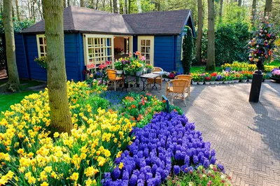 Куда сажать цветы: 5 способов посадить цветы красиво — Roomble.com