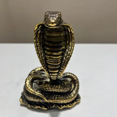 Фигурка змеи Safari Ltd Очковая кобра за 620 руб – купить в  интернет-магазине КуклаДом в Москве и России, отзывы