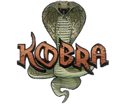 Kobra Khan Kamuflado Top Toys (Argentina) – Motu Vintage Variants