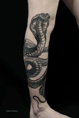 Snake tattoo. Sketch style. cobra tattoo | Cobra tattoo, Snake tattoo,  Snake tattoo design