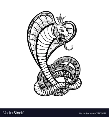 King Cobra TATTOO by Yankeestyle94 on DeviantArt