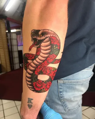 Angry snake tattoo, rattlesnake or cobra viper 12484306 Vector Art at  Vecteezy