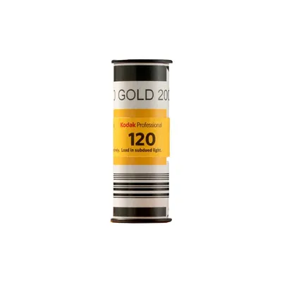 Kodak Gold 200 for Fashion Photography | Kodak gold, Portrait photography  pricing, Fashion portraiture
