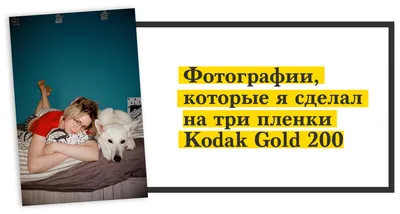 Фотопленка Kodak Gold 200 36 кадров - купить с доставкой по выгодным ценам  в интернет-магазине OZON (906776350)