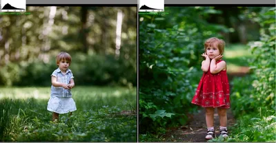 Насколько любительская фотоплёнка отличается от профессиональной | Магазин  фотоплёнки Filmoza.ru | Дзен