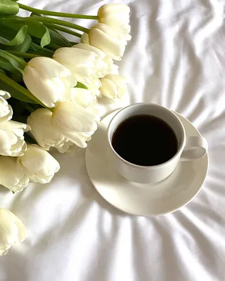 Кофе и тюльпаны фото фотографии