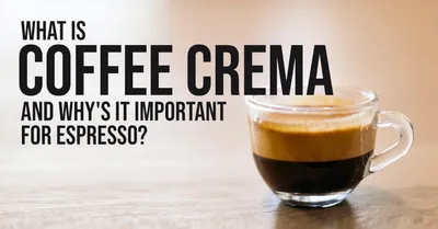 What is Coffee Crema In Espresso Making?