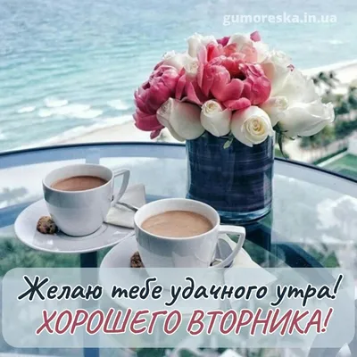 💐доброе утро 💐хорошего дня всем #доброеутро #утро #домашниерецепты #семья  #уют #уютныйдом #кофе #кофессобой #рассвет #хорошегодня | Instagram