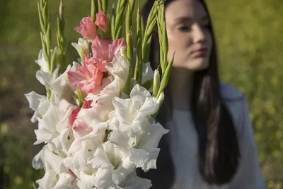 Гладиолусы в кашпо проверено цветут! Букетная посадка гладиолусов идеальна  для украшения вашего сада - YouTube