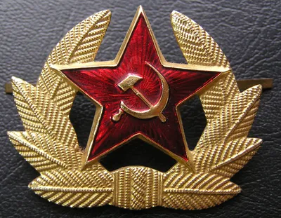 File:Кокарда рядового и сержантского состава Советской Армии.jpg -  Wikimedia Commons