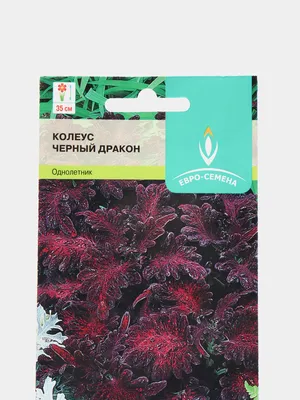 Колеус Блэк Драгон (Black Dragon) семена купить в Украине | Веснодар